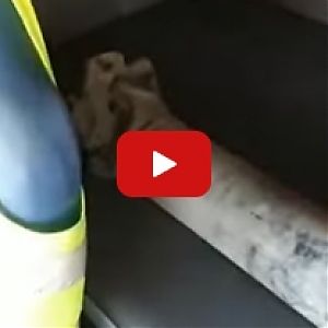 Пожалуй самое нежное отношение к карданному валу!
